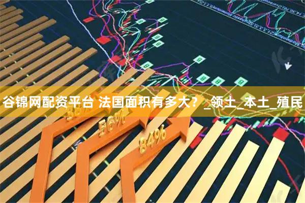 谷锦网配资平台 法国面积有多大？_领土_本土_殖民