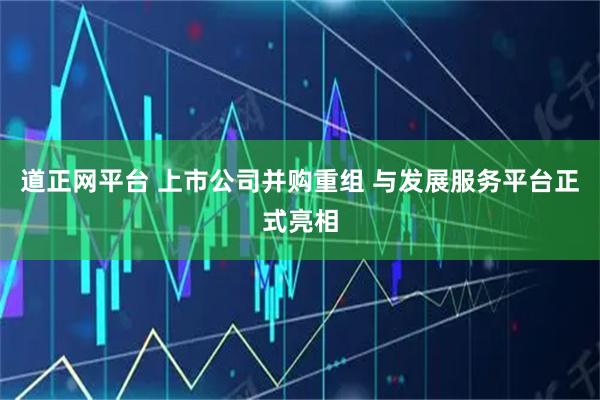 道正网平台 上市公司并购重组 与发展服务平台正式亮相