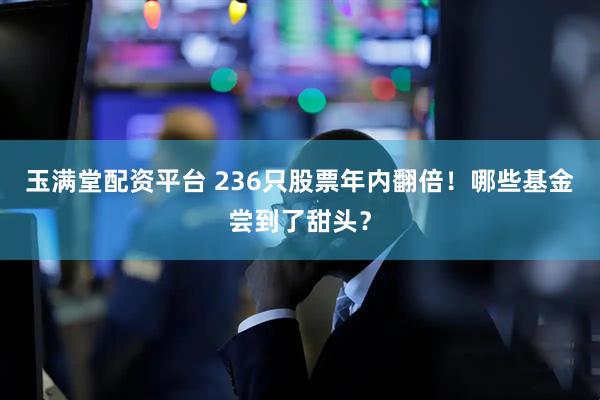 玉满堂配资平台 236只股票年内翻倍！哪些基金尝到了甜头？