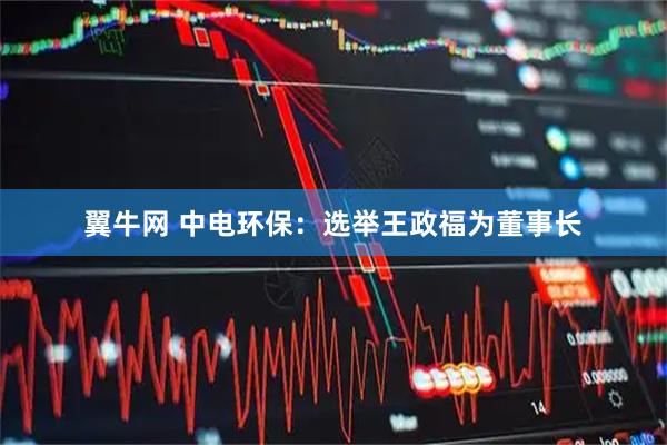 翼牛网 中电环保：选举王政福为董事长