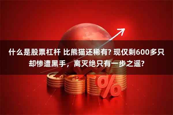 什么是股票杠杆 比熊猫还稀有? 现仅剩600多只却惨遭黑手，离灭绝只有一步之遥?