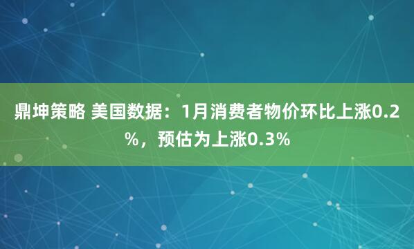 鼎坤策略 美国数据：1月消费者物价环比上涨0.2%，预估为上涨0.3%